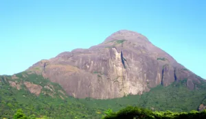 View from the peak of Agasthyarkoodam trek