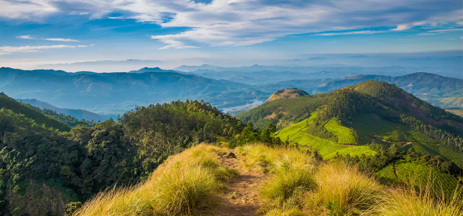 Kolukkumalai view from the peak