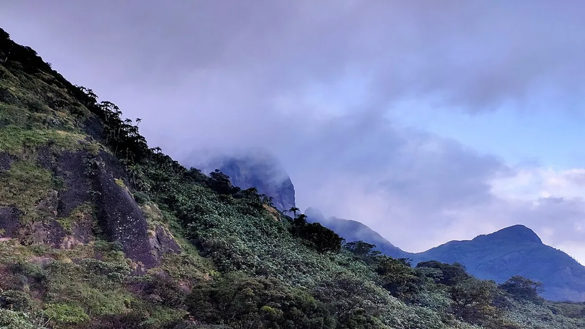 View from the peak of Agasthyarkoodam trek