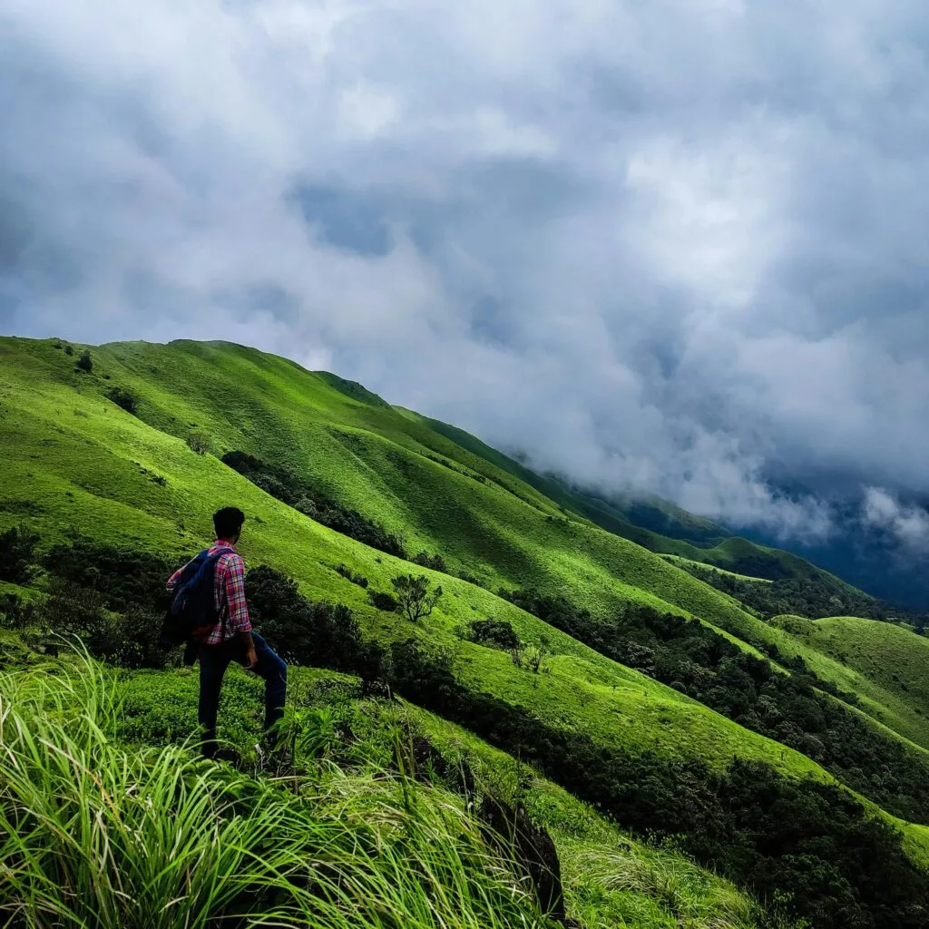 pexels-shreyas-anchan-photography-263446740-12712743