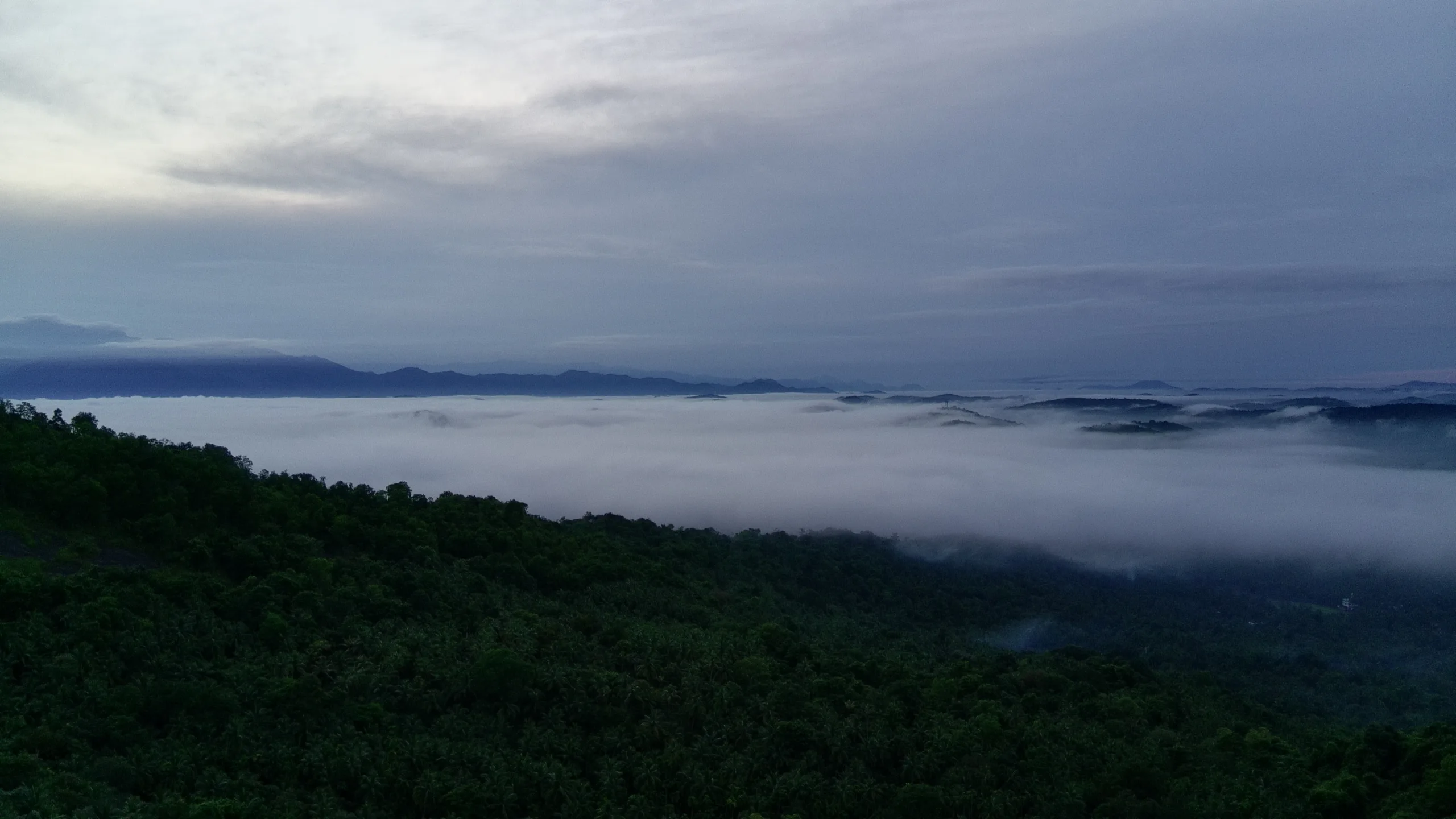 Ponkunnu Hills Image