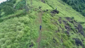 Ponkunnu Hills Image