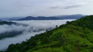Ponkunnu Hills Image