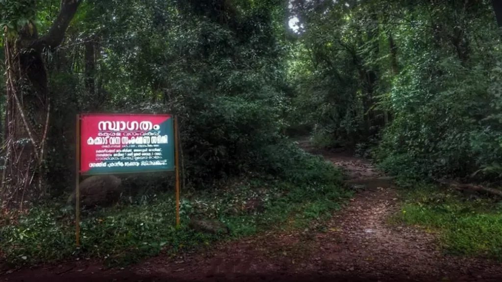 Kakkad Eco Tourism Kozhikode