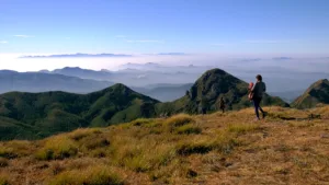 Meeshapulimala Trek Image